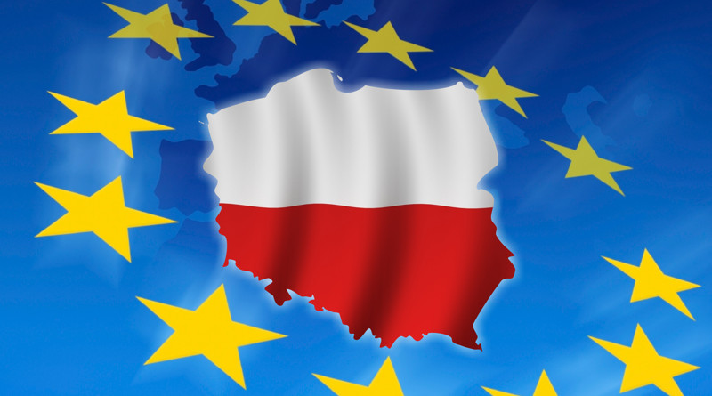 Polska Unia Europejska kontra narodowo-socjalistyczna wizja&nbsp;partii