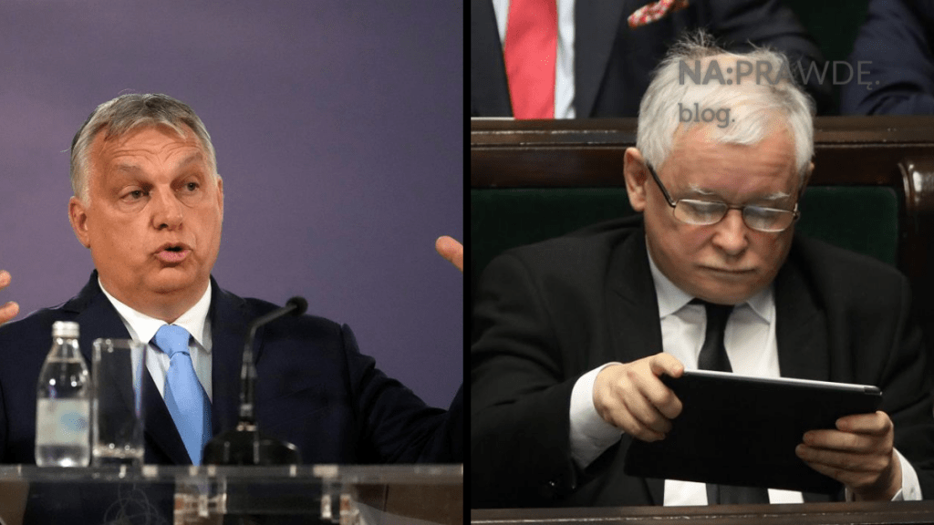 Gulasz z mediów po&nbsp;węgiersku