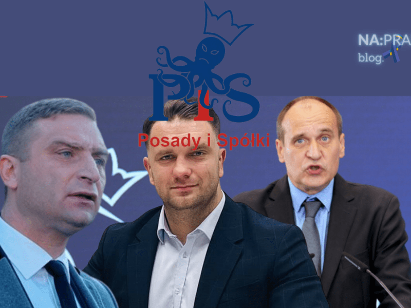 Kukiz, Mejza i inni, którzy na listach PiS znaleźć się nie&nbsp;powinni