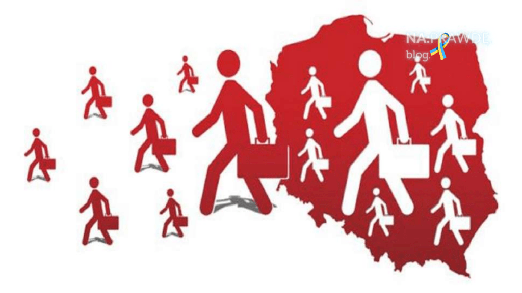 Polonia nie zagłosuje w&nbsp;wyborach?